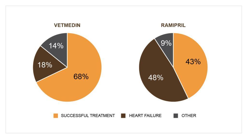 Where to buy Vetmedin (Pimobendan) online RealLifeWithPets