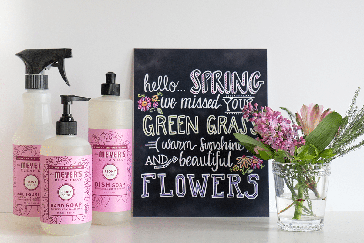 Hello Spring Free Mrs. Meyers Spring Cleaning Kit • Really, Are You