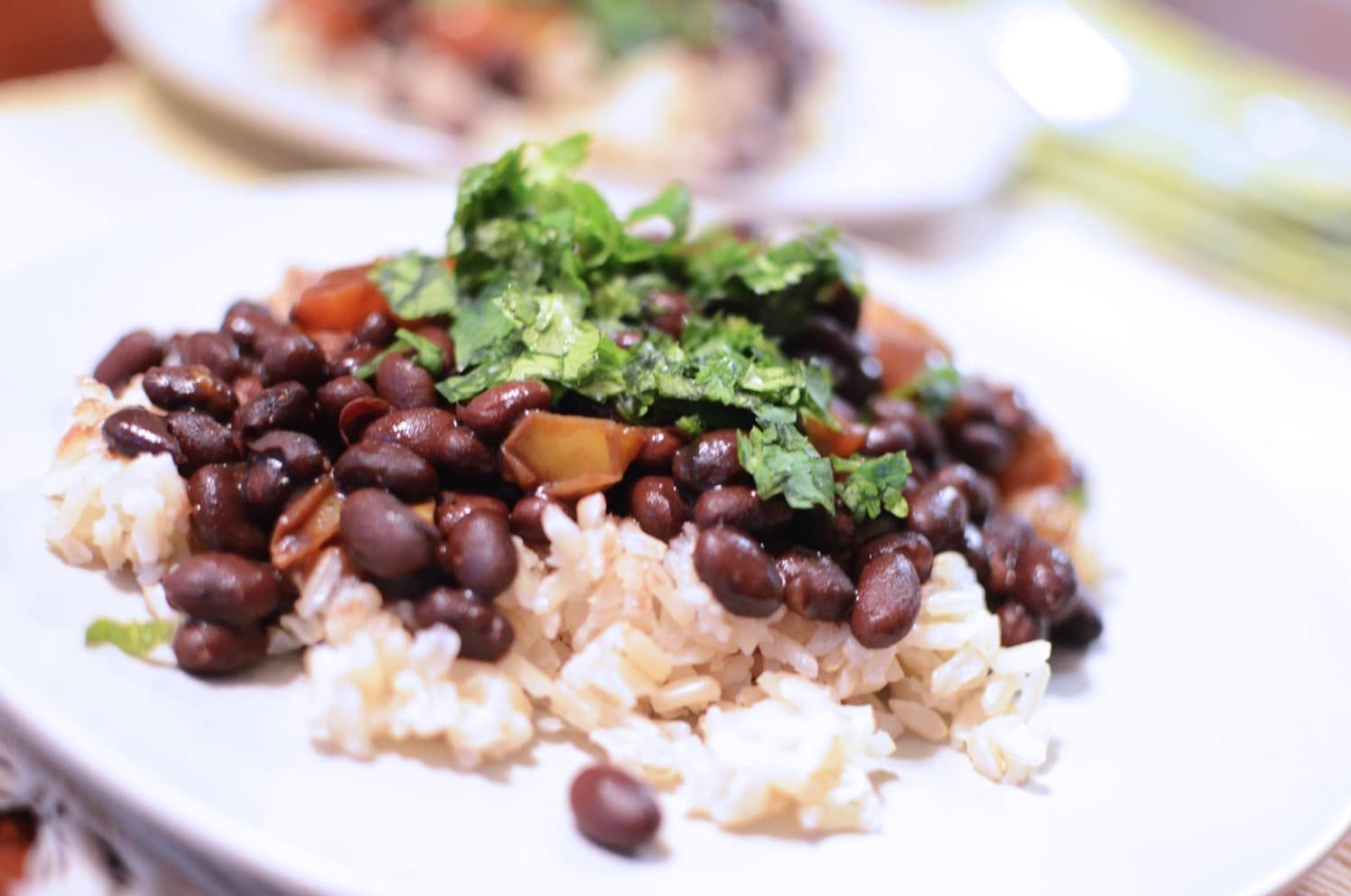 Easy Black Beans and Rice Recipe with Cilantro • Really, Are You Serious?