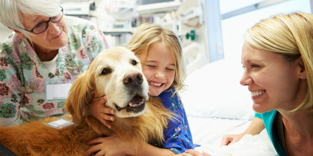 TherapyDog Really Good Pets Dog Training