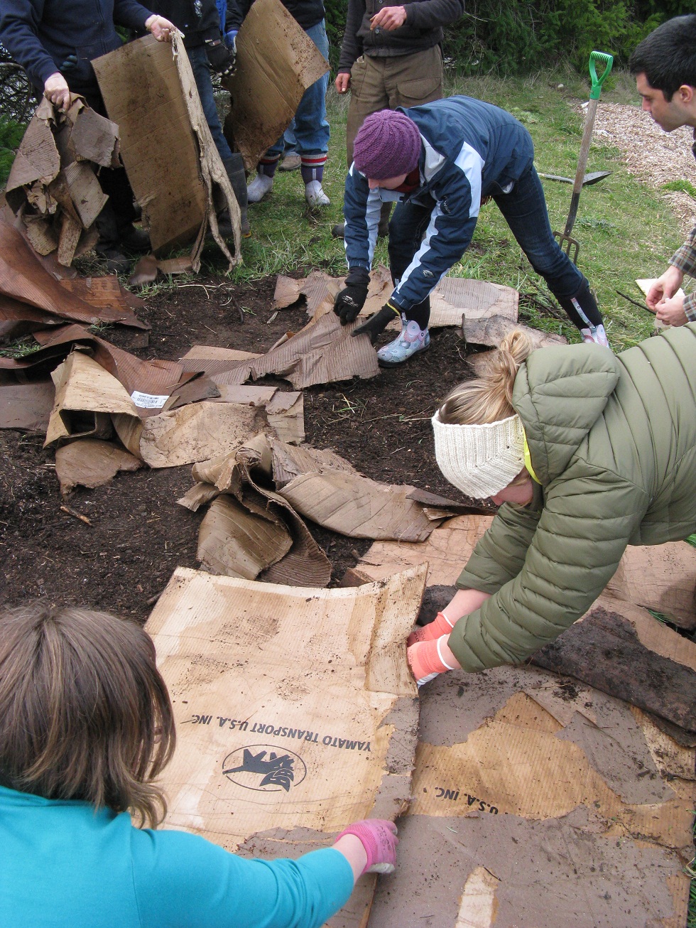 Hot Compost sheet mulching with cardboard Iambic Cafe