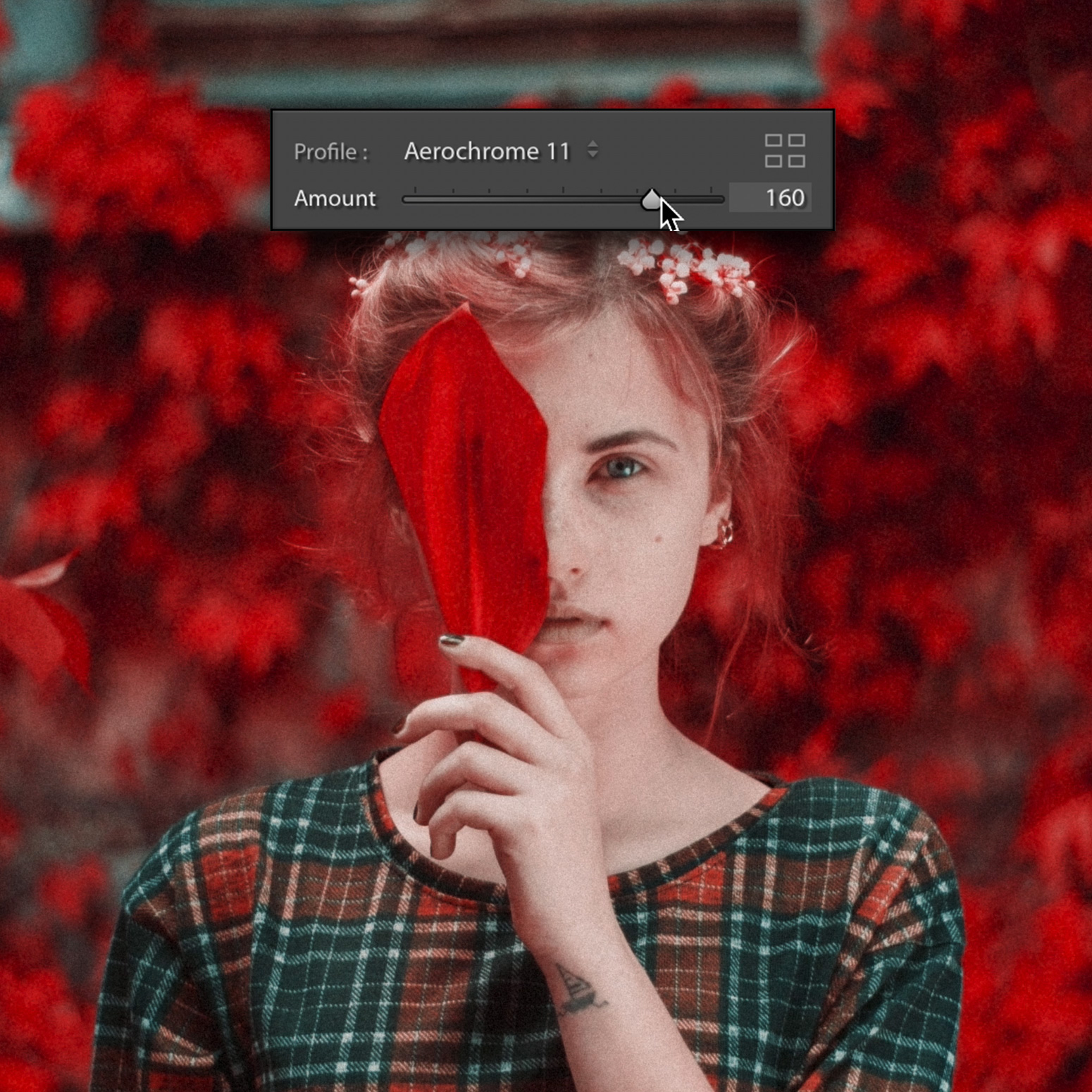 RNI Aerochrome for Adobe Lightroom