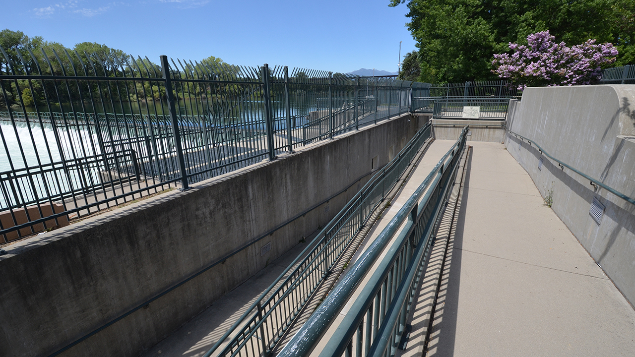 View salmon at Lake Redding's fish ladder ReallyRedding