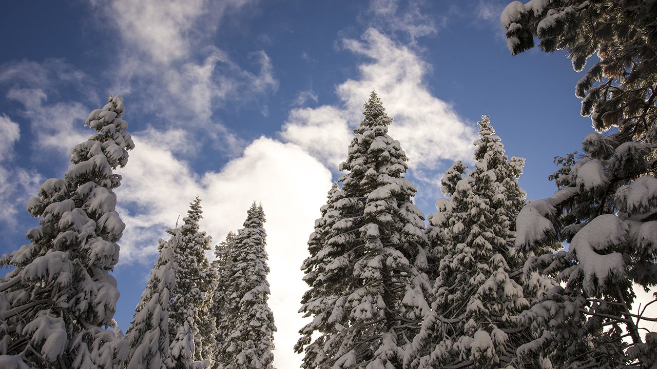 Snowplay areas around Redding ReallyRedding