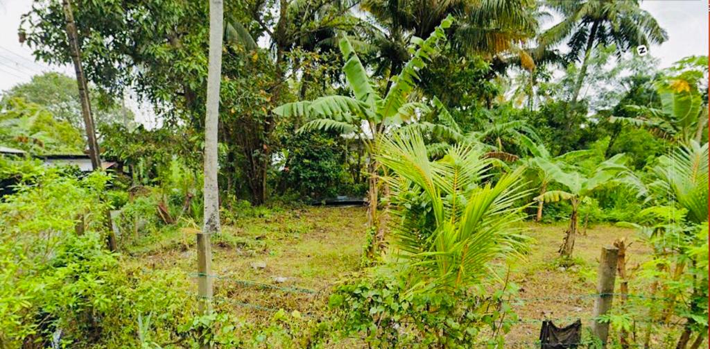 LAND FOR SALE IN MATARA Real Mark