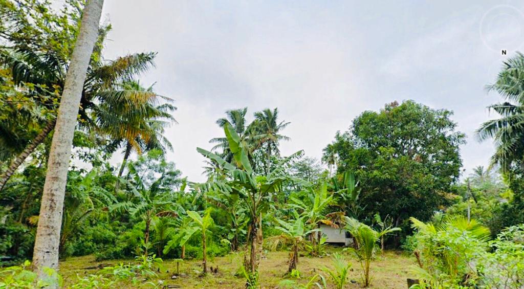 LAND FOR SALE IN MATARA Real Mark