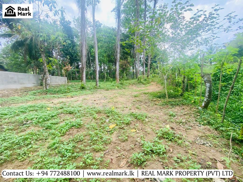 RESIDENTIAL LAND FOR SALE IN HOMAGAMA Real Mark