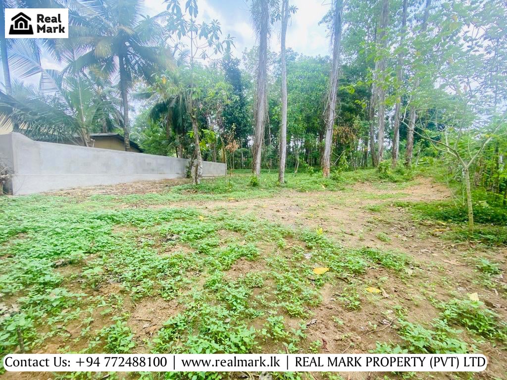 RESIDENTIAL LAND FOR SALE IN HOMAGAMA Real Mark