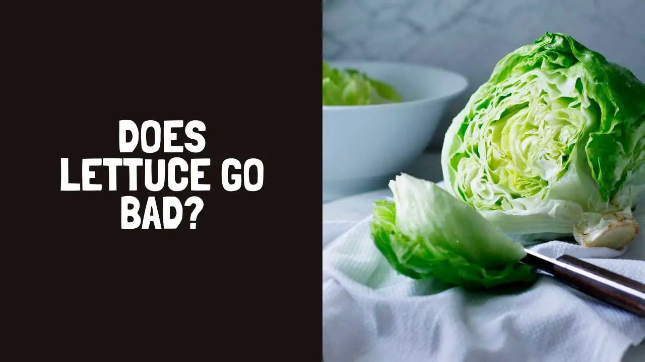 Does Lettuce Go Bad? How Long Does Lettuce Last?