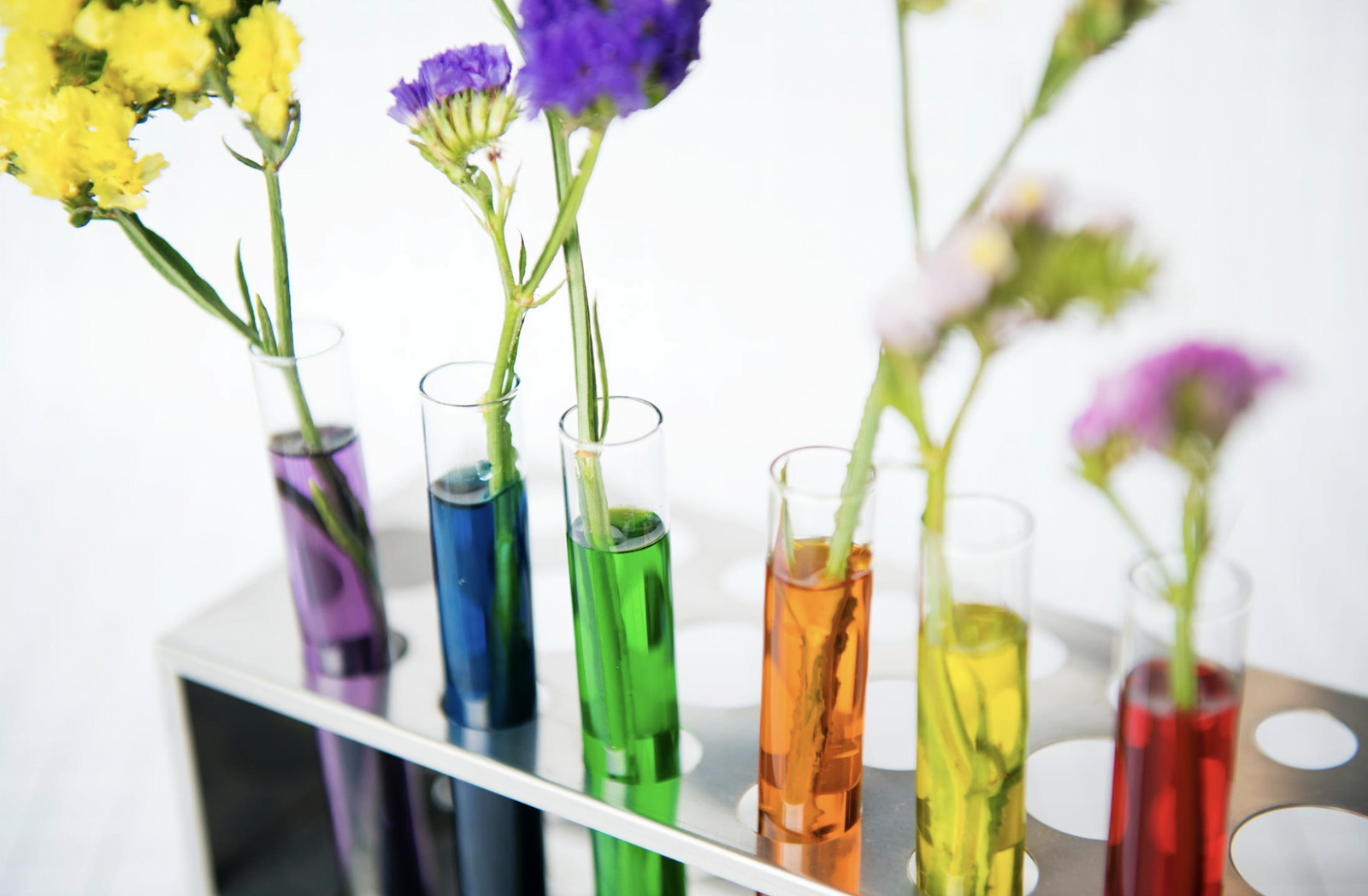 Home Test Kits Great Gift Idea for the Family Real Momma