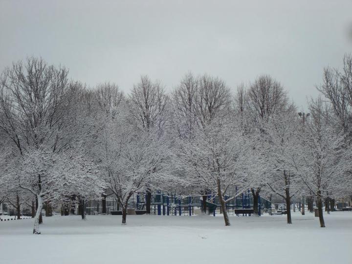 Zillow West Park Cleveland at Curt Moseley blog