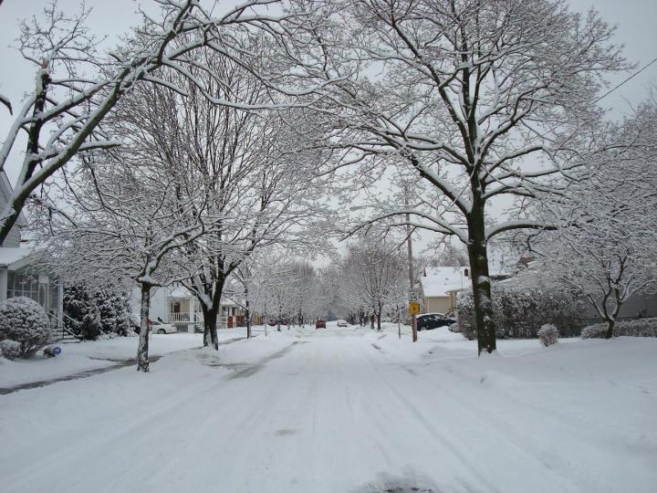 Zillow West Park Cleveland at Curt Moseley blog