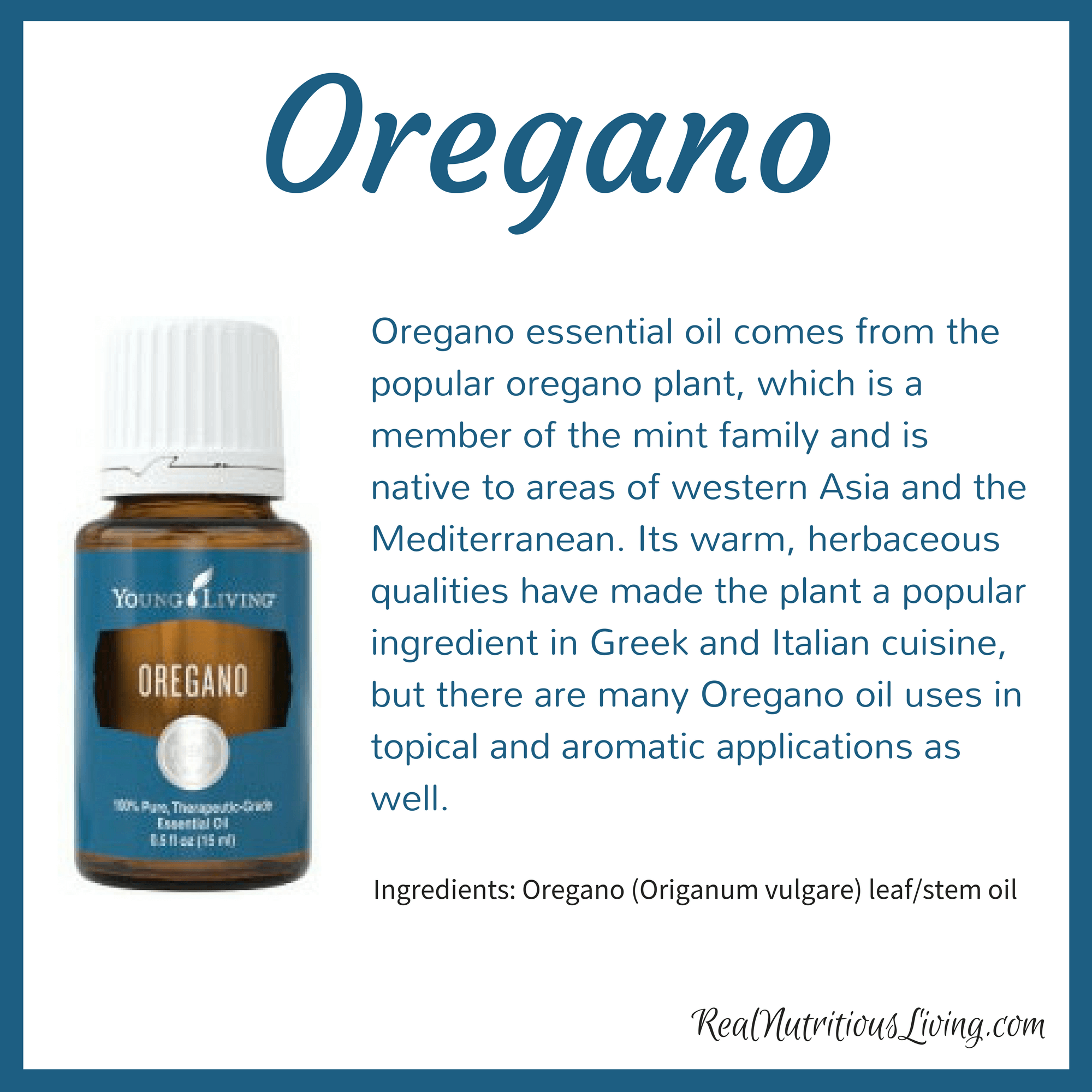 Oregano Essential Oil Real Nutritious Living