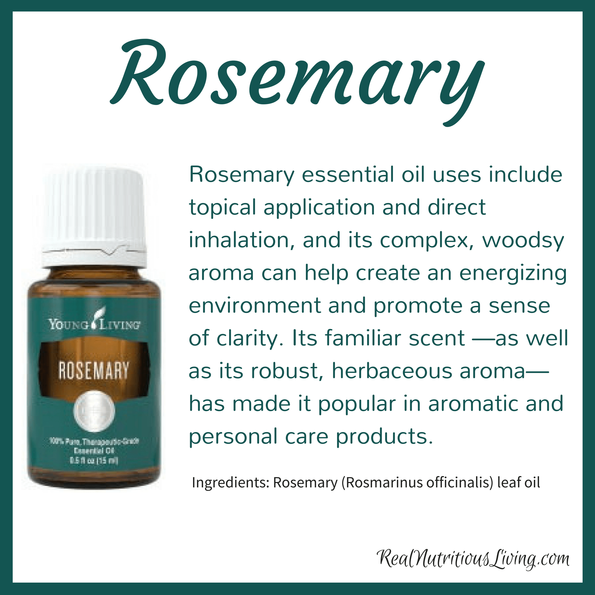 Rosemary Essential Oil Real Nutritious Living