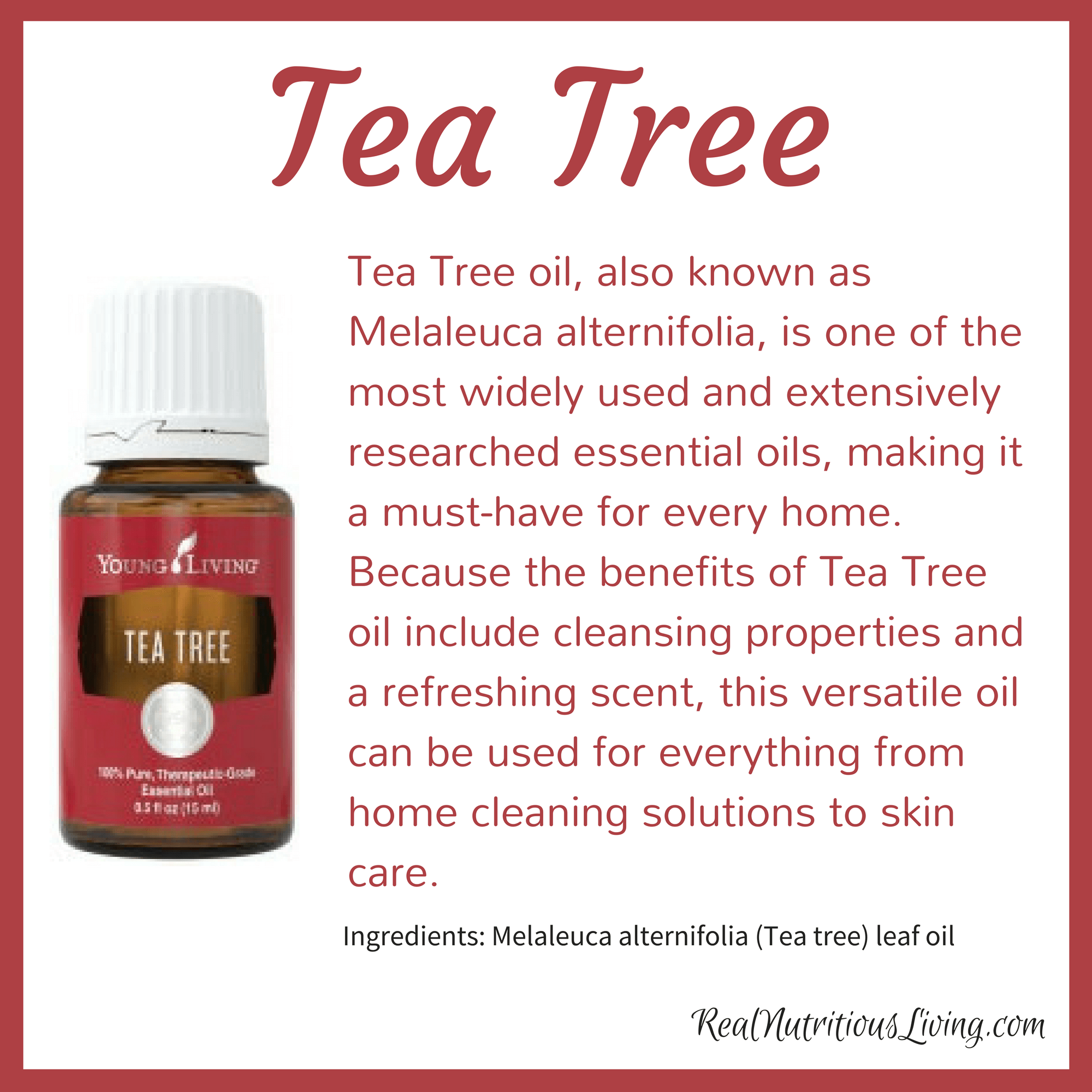 How To Make Tea Tree Oil At Home Howto Techno