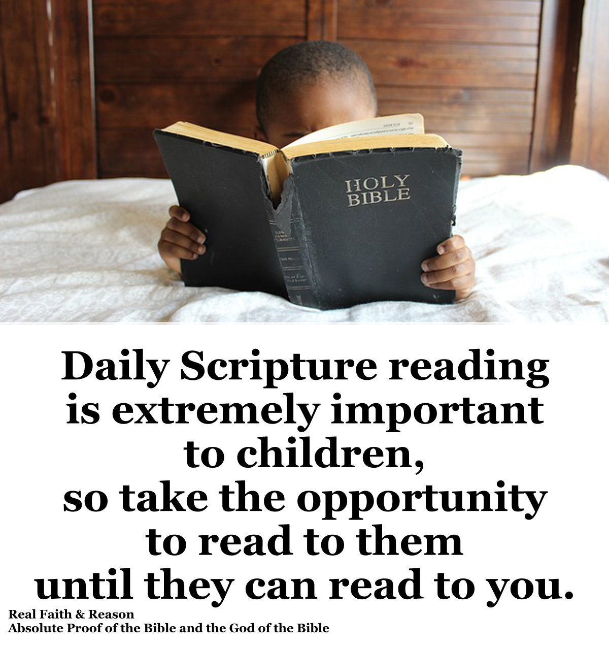 Daily Bible Reading Real Reality