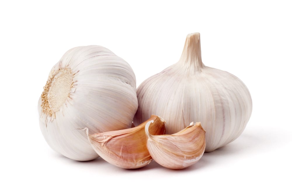How to Use Garlic as a Natural Antibiotic, Antiseptic, Antifungal, and