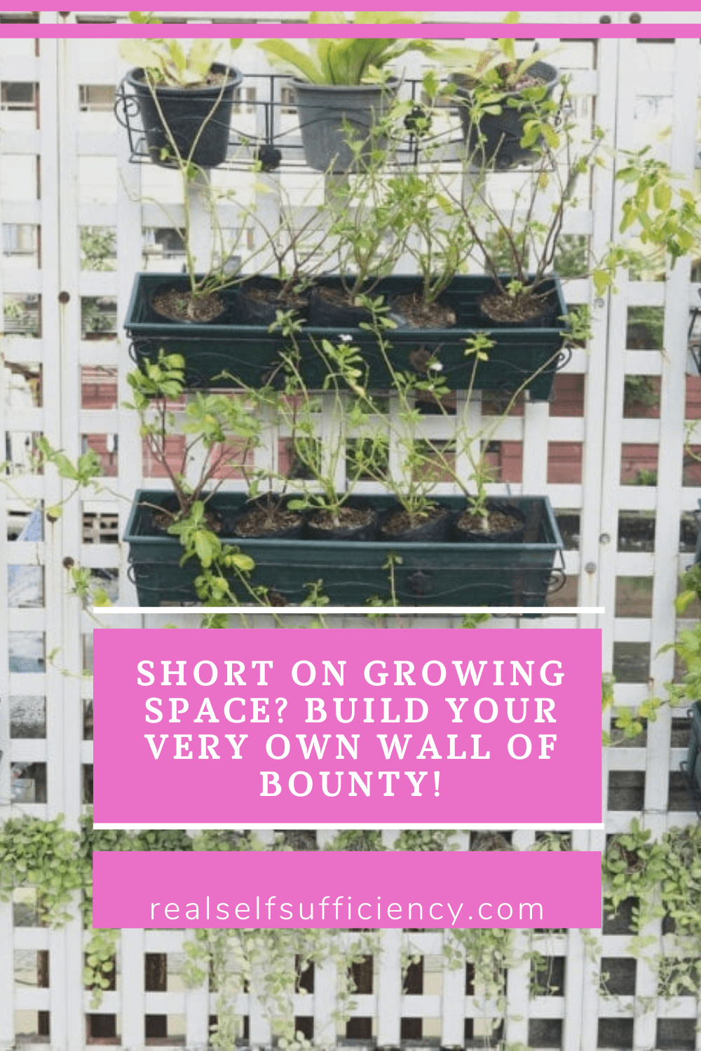 Short on Growing Space? Build a Vertical Garden Your Very