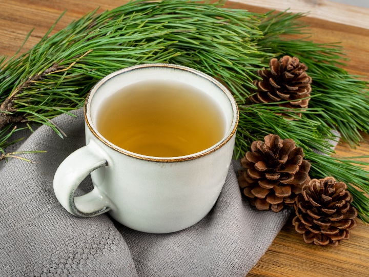 How to Make Pine Needle Tea (And Why You'd Want To)