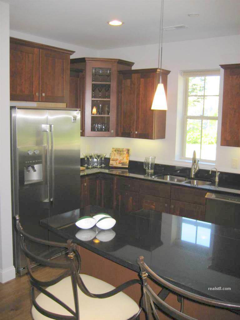 Ivy Quad New Condos Near Notre Dame Real Estate and