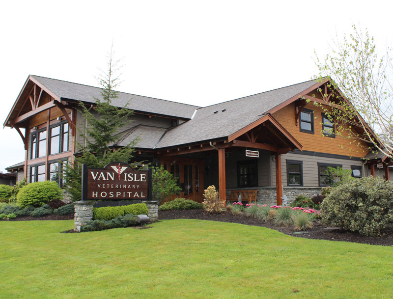 Portfolio RealStream™