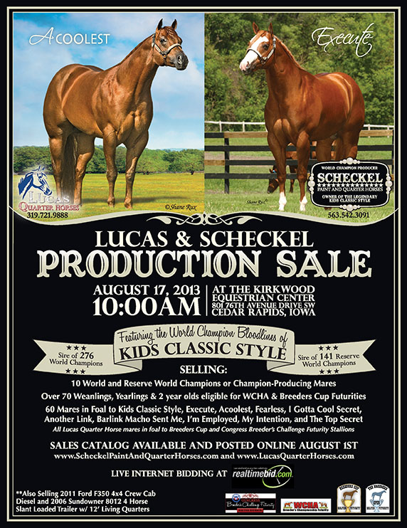 Scheckel Paint & Quarter Horses and Lucas Quarter Horses Production