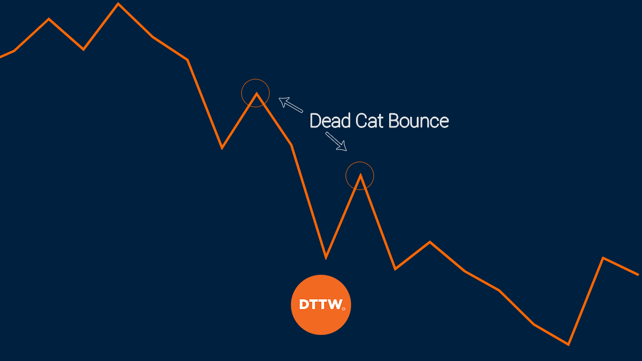 How to Spot a 'Dead Cat Bounce' (+ Strategies to Trade It) Real Trading