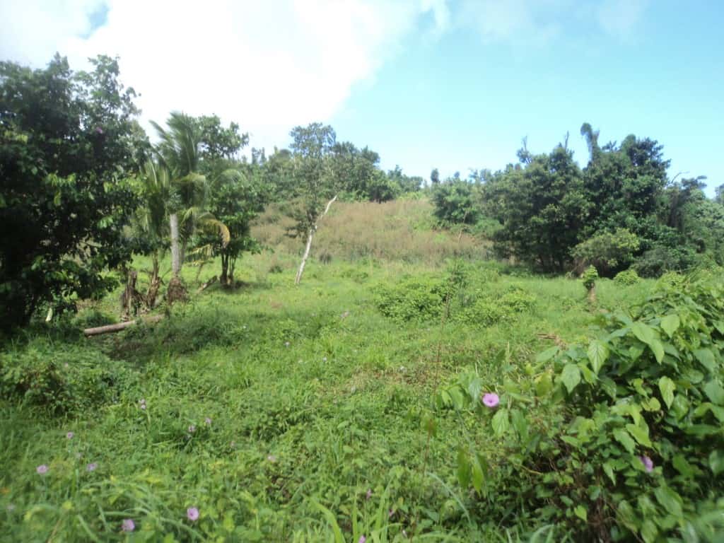 Land for Sale on East Coast Dominica, Investment and Business Opportunity