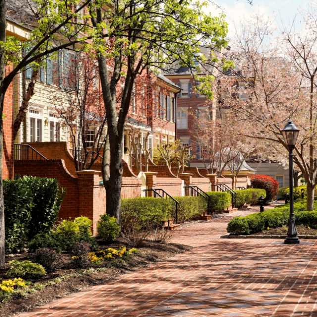 Residential Realty ONE Group Old Towne