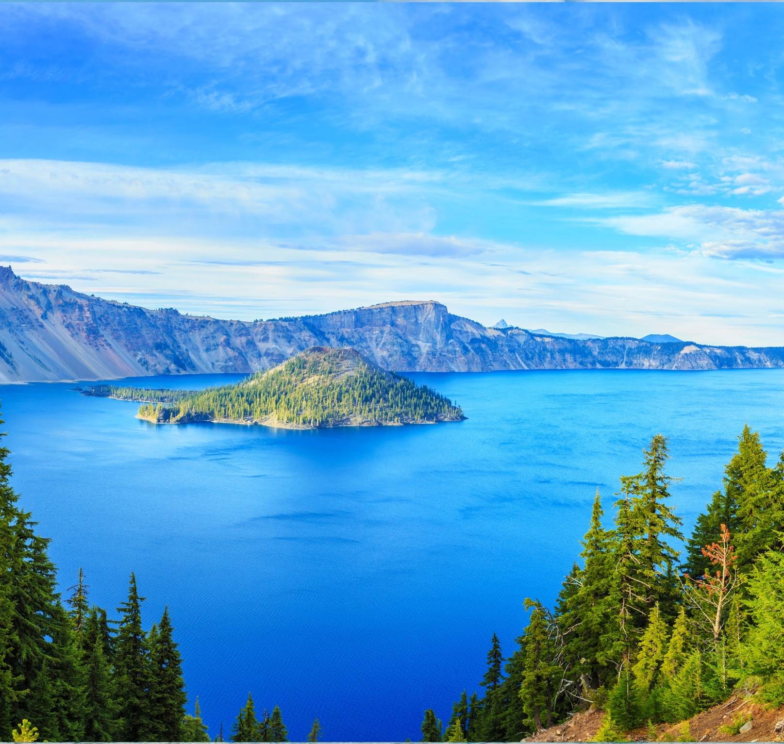 Redmond Property Management RealWise, LLC