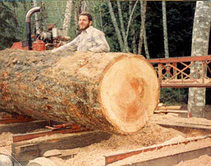 Woodwork Wood Lumber PDF Plans