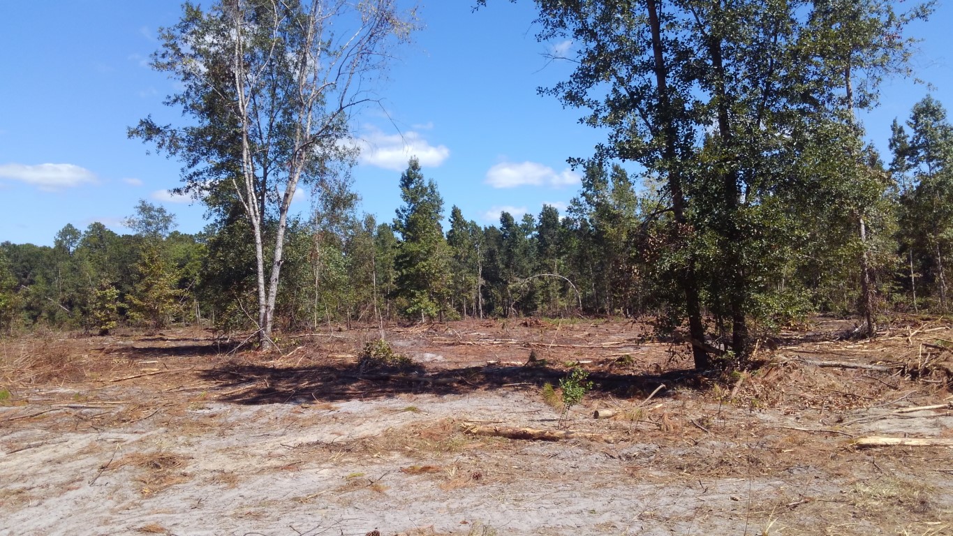 Sold! 25 Acres Starke, Florida Real Works