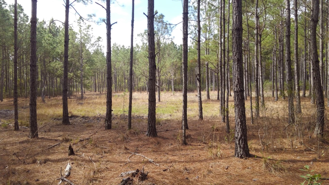 SOLD! 42.8 acres Winding River Preserve Real Works