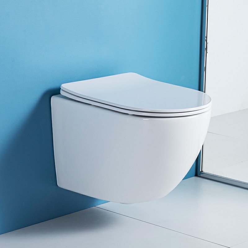 Wall Hung Water Closet (ZT1025) white
