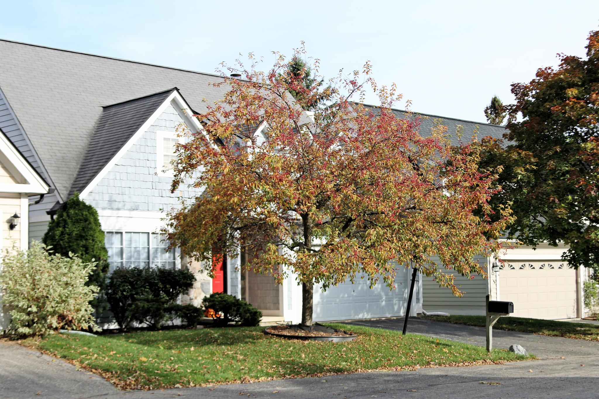 Sommerset Pointe, Ann Arbor Condos in Scio Township, MI