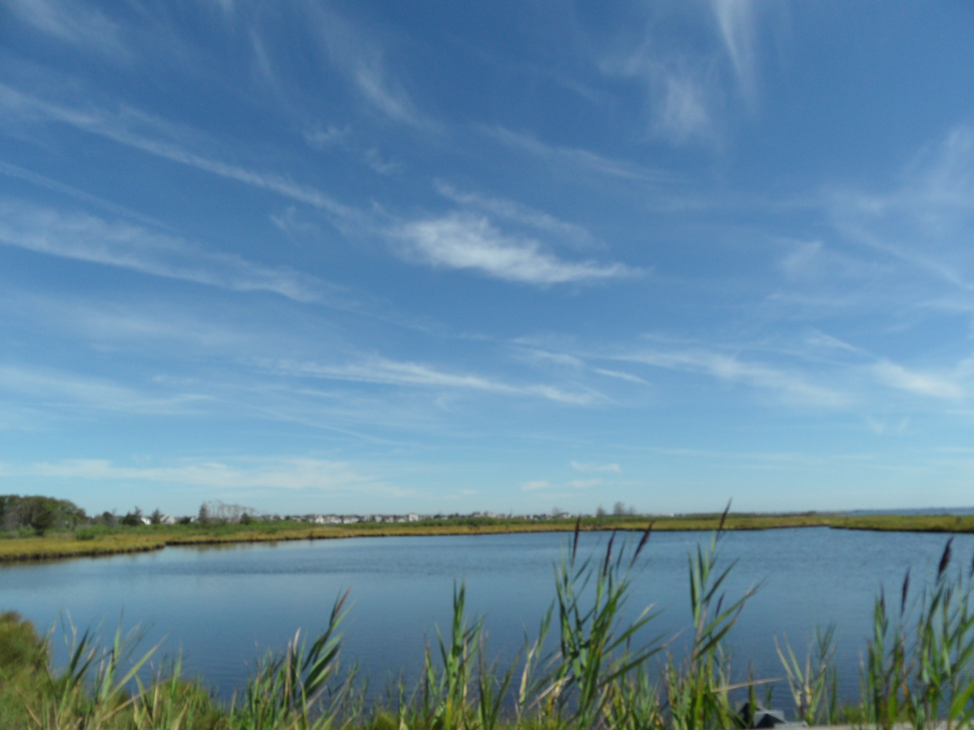 Berkeley Township, NJ Real Estate