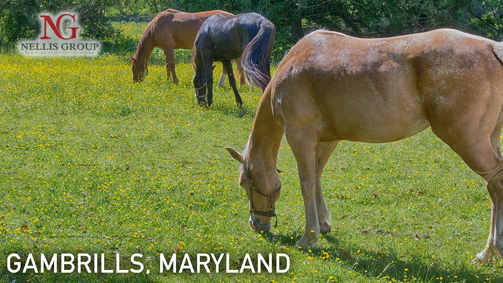 Explore Gambrills of Anne Arundel County, MD