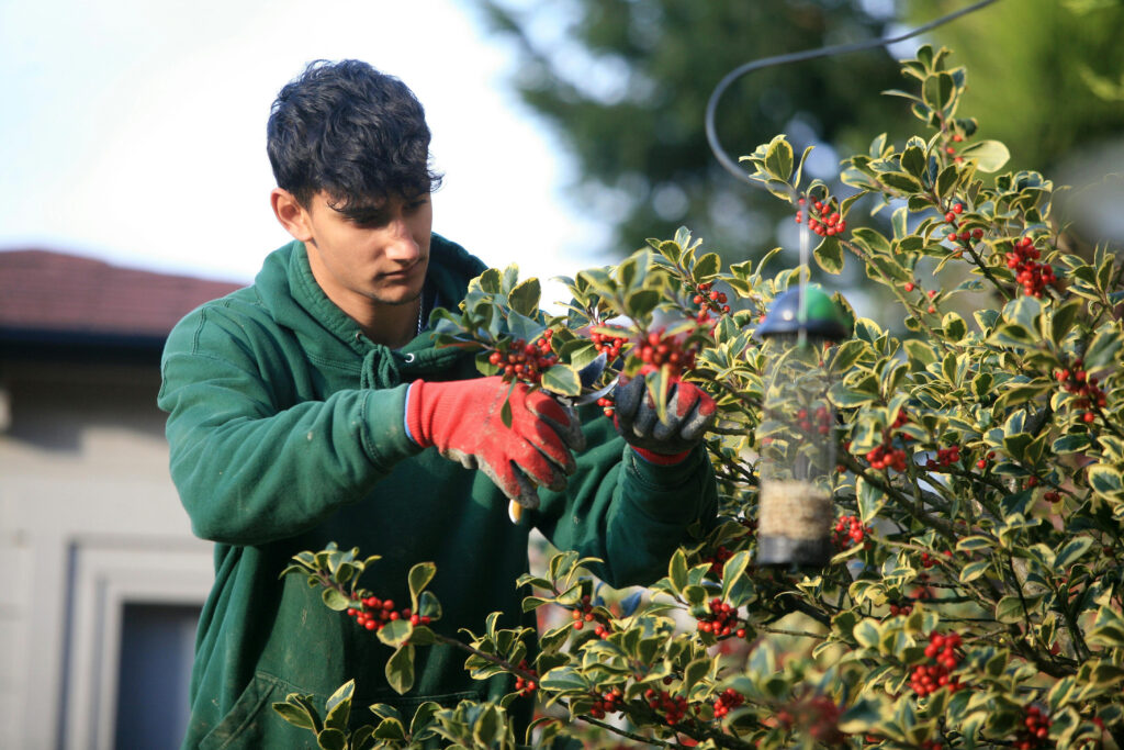 Horticulture Operative Reaseheath Business Hub