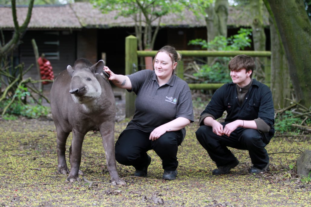 What it’s like to study Animal Management at Reaseheath by Niamh Hearty