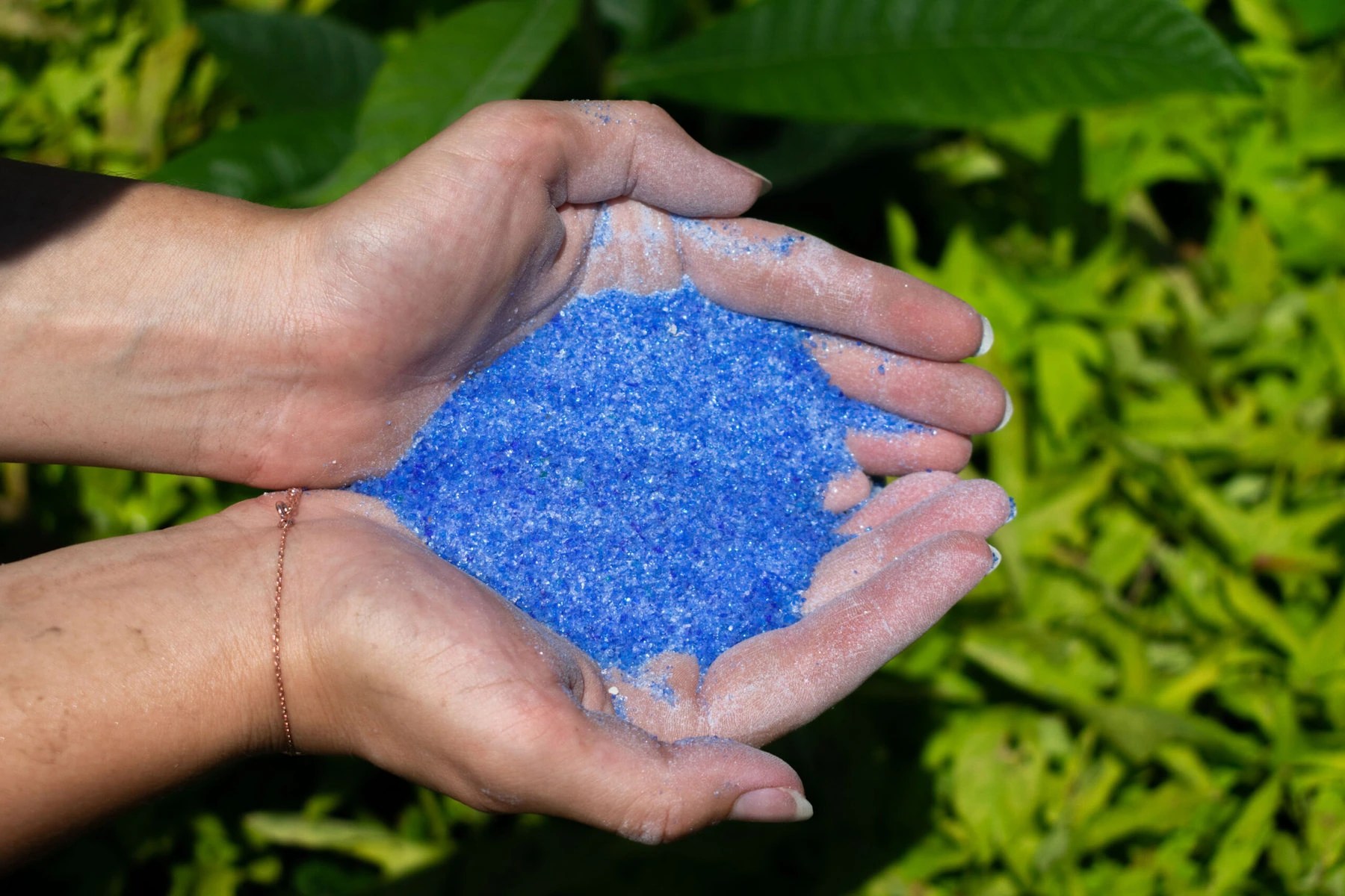 Recycled Glass, Turned into Sand, Is Restoring Louisiana's Coastline