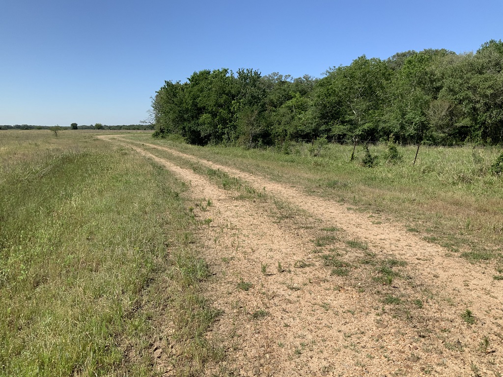 168.55 (+/) acres in Wharton County