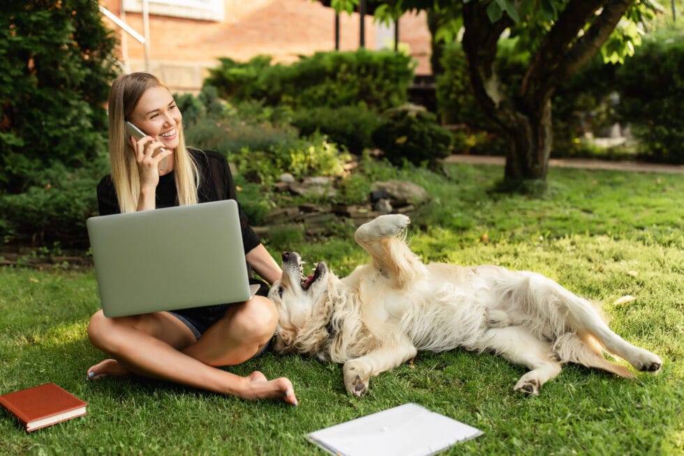 Does Online Puppy Or Dog Training Work? A Professional Insight Rebarkable