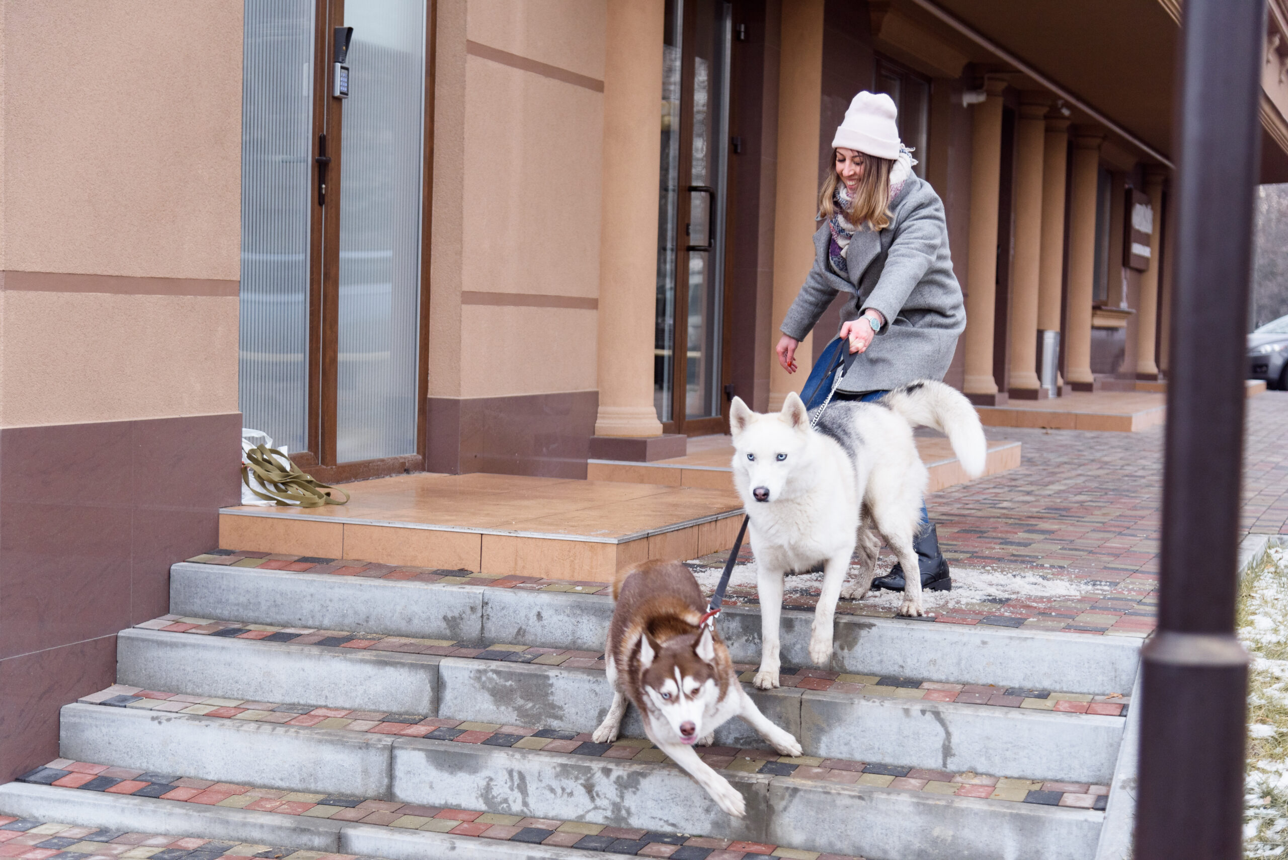 Why Does My Dog Pull So Much When Walking