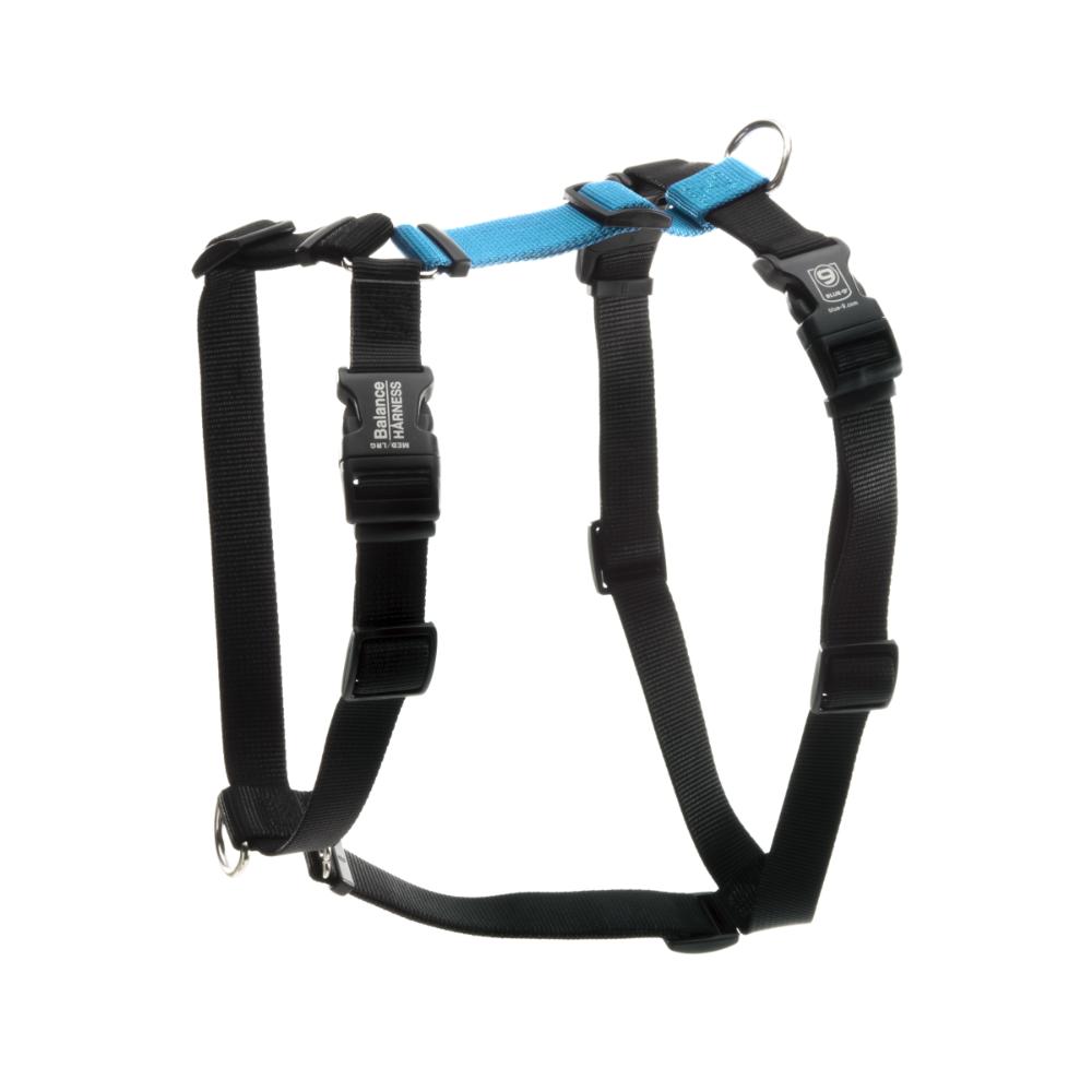 Blue9 Balance Harness An Honest Review Rebarkable
