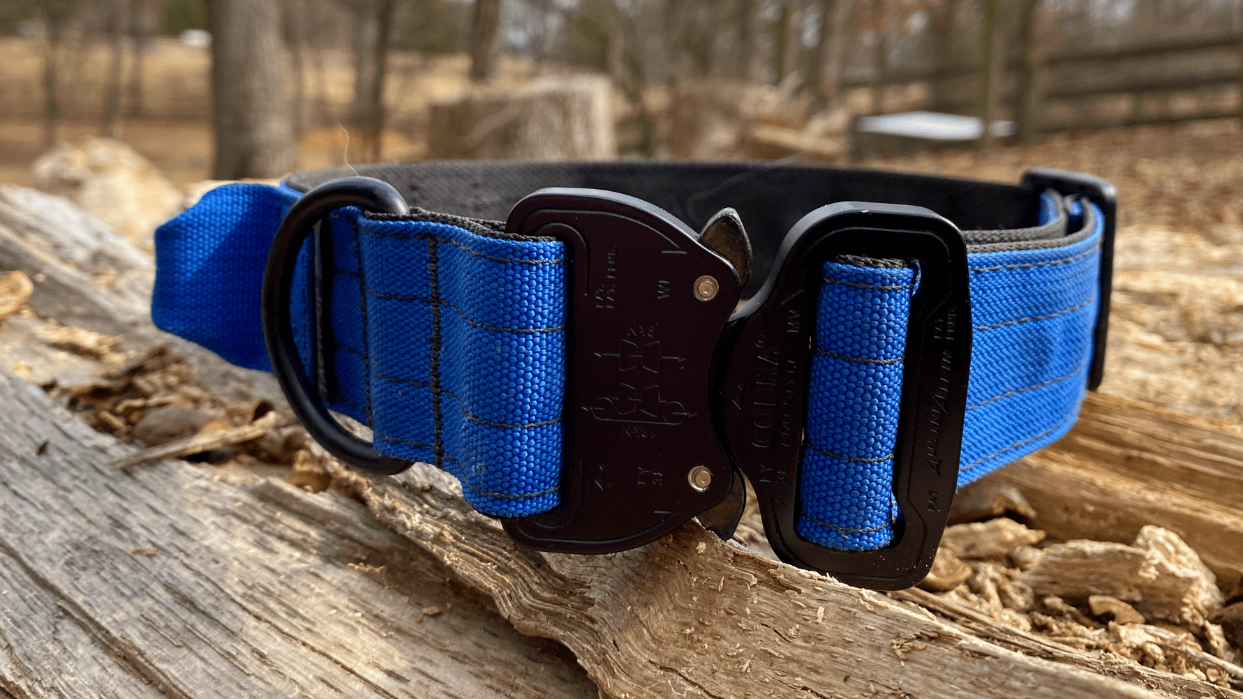 Tactipup Extreme Dog Collar 1.5" An Honest Review Rebarkable