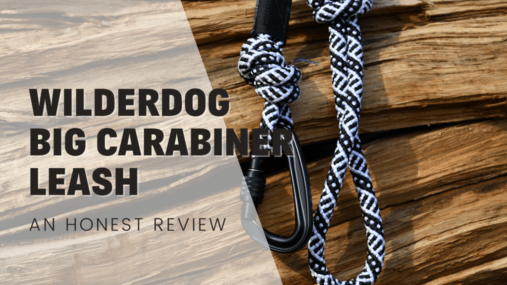 Wilderdog Big Carabiner Leash An Honest Review Rebarkable