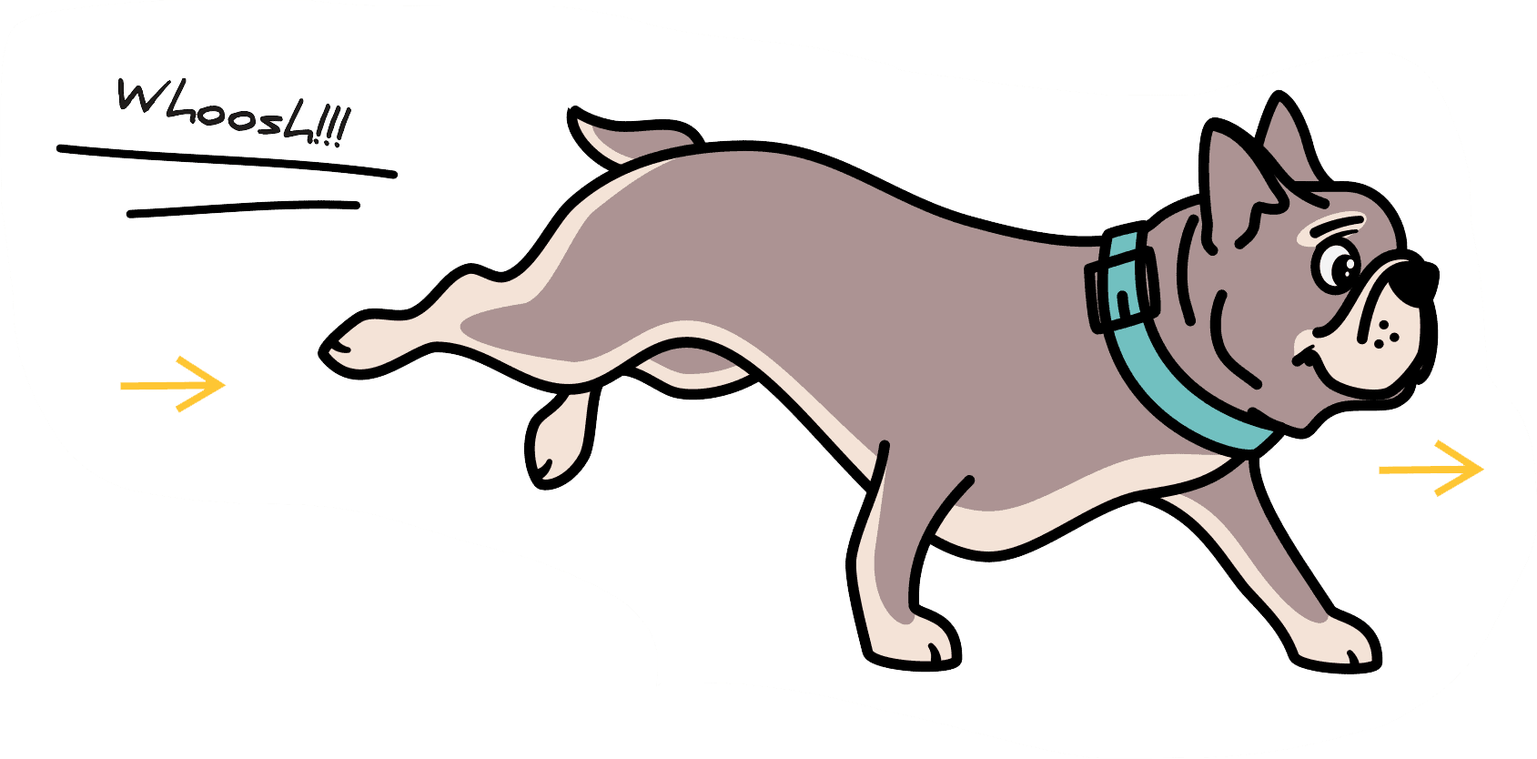 Understanding the Predatory Motor Pattern In Domestic Dogs