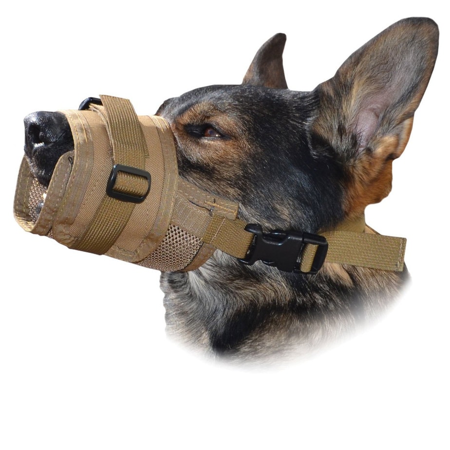 All About Soft Muzzles For Dogs (Aka Emergency Muzzles)