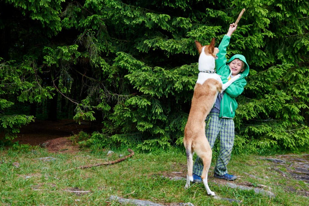 How To Make A Puppy Stop Jumping Up at Coleman Guerin blog