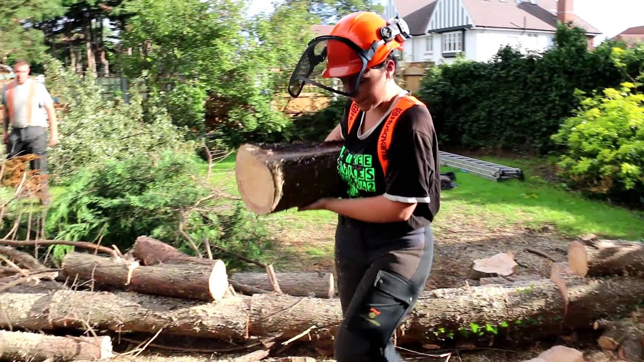 The Best Tree Surgeons Available For Your Tree Cutting Needs Rebecca